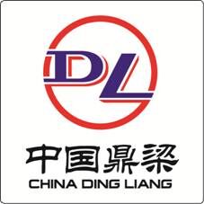 Shandong Ding Liang Casting Co.,Ltd